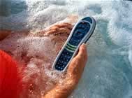 Dolphin Remote
