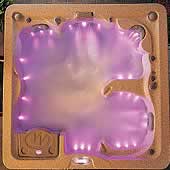 LEDs