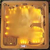 LEDs